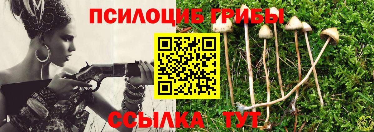 Галлюциногенные грибы ЛСД Димитровград