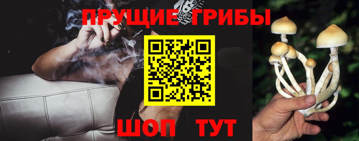 Галлюциногенные грибы Psilocybine cubensis  Вход с VPN  Димитровград 