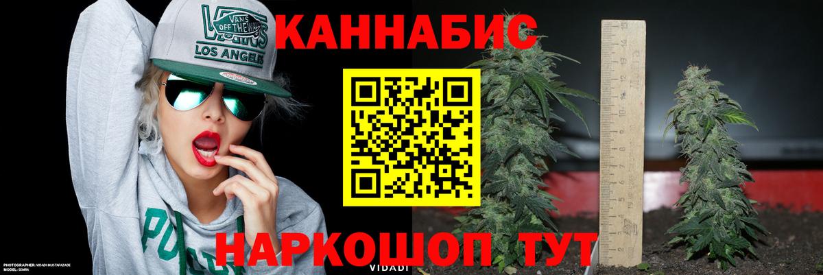 Бошки марихуана Amnesia Димитровград